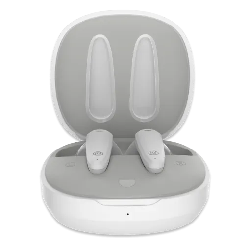 Noise Buds VS404 Truly Wireless Earbuds