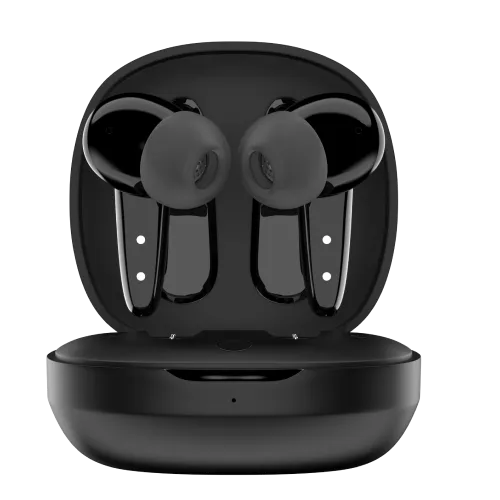 Noise Buds VS404 Truly Wireless Earbuds