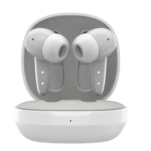 Noise Buds VS404 Truly Wireless Earbuds