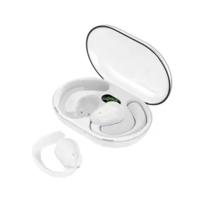 Premium TWS Bluetooth 5.3 Wireless Earbuds